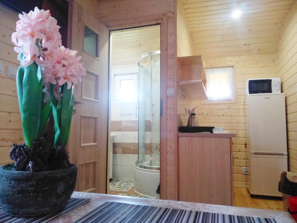 Domki pod Żukowcem Solina  Zewnętrze zdjęcie